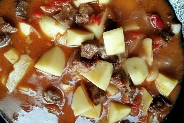 土豆烧牛腩的做法图解9
