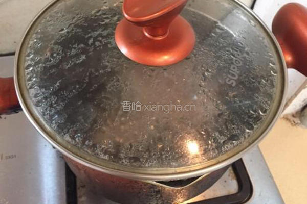 奶汤冬瓜炖排骨的做法图解7