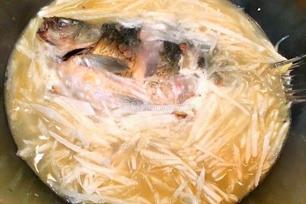 白萝卜丝鲫鱼汤的做法图解4