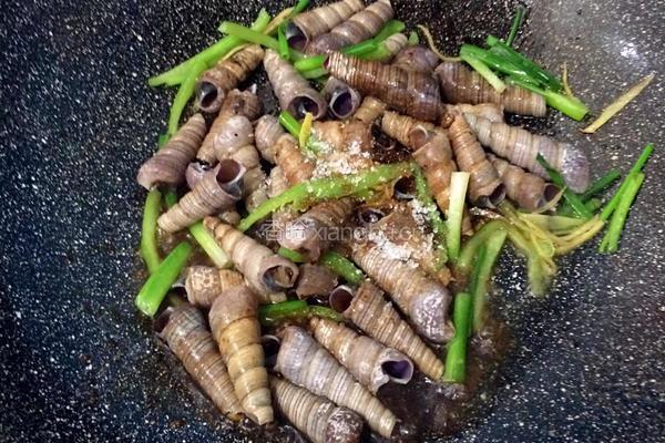 酱爆田螺的做法图解5