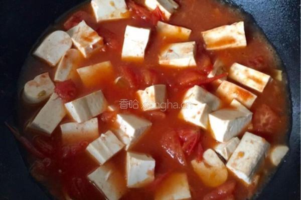 家常蕃茄鸡蛋炖豆腐的做法图解6