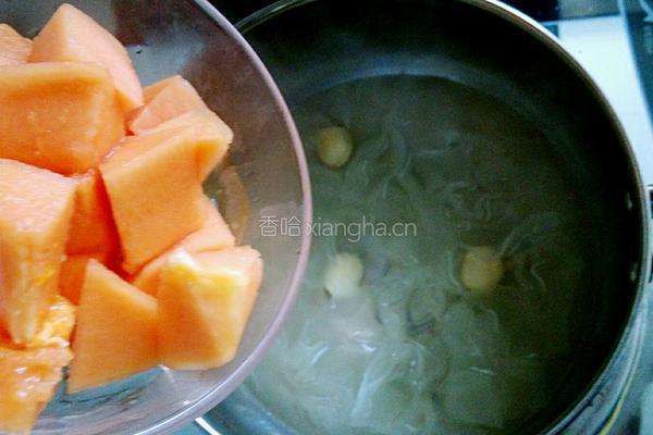 木瓜银耳莲子汤的做法图解4