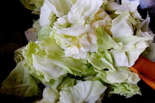 火爆大头菜的做法图解5