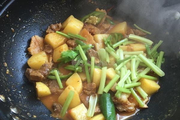 西红柿土豆烧牛肉的做法图解6