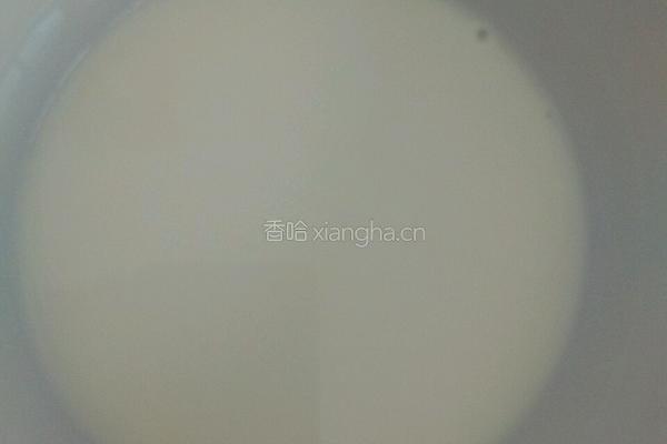 红豆双皮奶的做法图解6