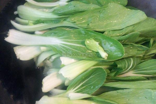 香菇油菜烧豆腐的做法图解3
