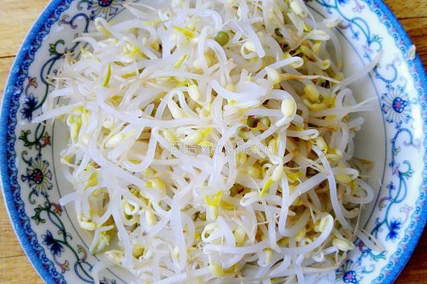酸辣炝拌绿豆芽的做法图解2