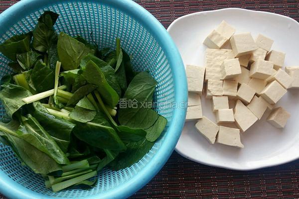 小白菜炖豆腐的做法图解1