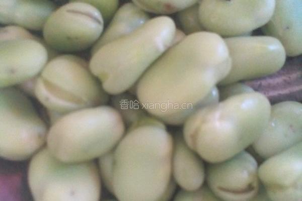 小葱炒蚕豆的做法图解1
