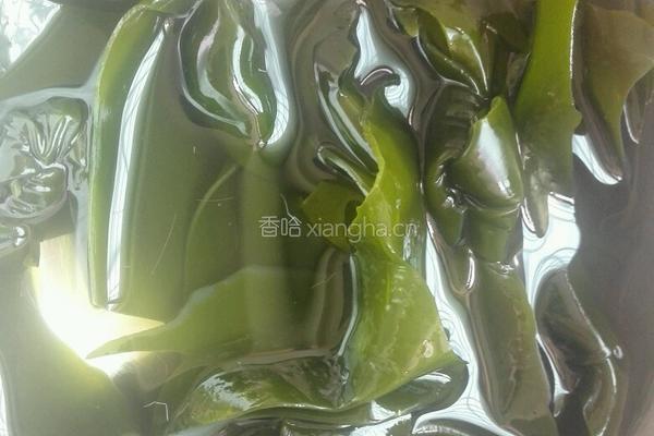 虾米冬瓜海带汤的做法图解3