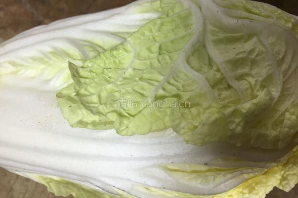 老厨白菜粉的做法图解1