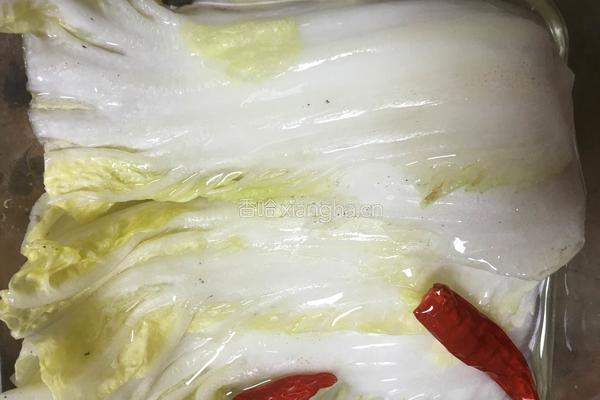 糖醋白菜的做法图解7