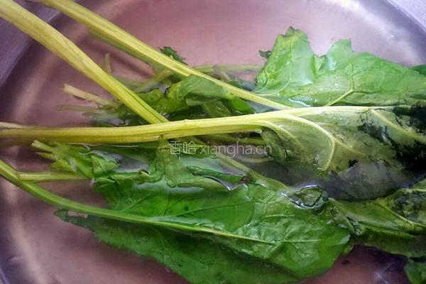 菠菜猪肝粥的做法图解7
