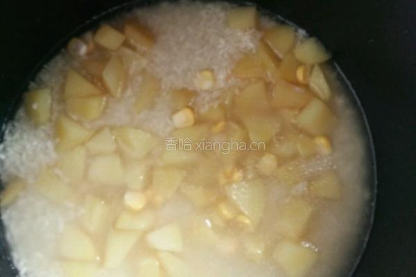 电饭煲骨汤土豆焖饭的做法图解4