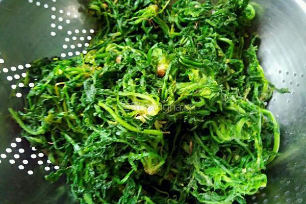 原生态野菜水煎饺的做法图解2