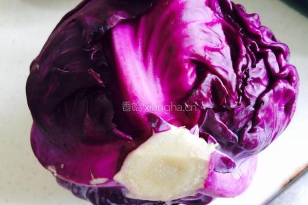 凉拌紫包菜的做法图解1