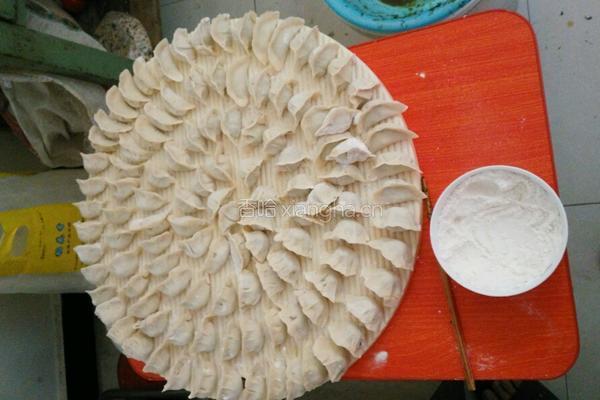 茴香肉水饺的做法图解4
