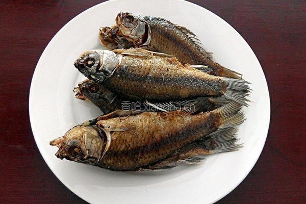 金针菇煮鲫鱼的做法图解4