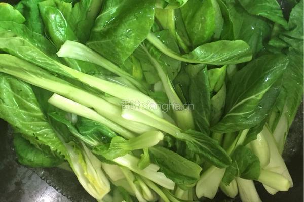 蒜蓉小油菜的做法图解2