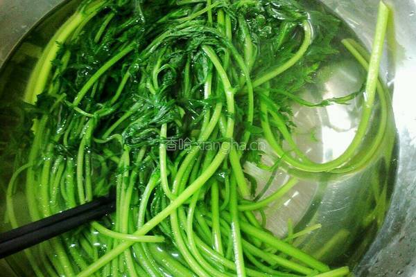 凉拌茼蒿菜的做法图解5