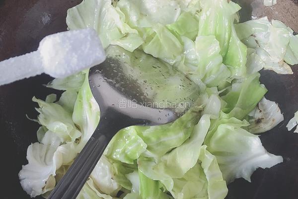 清炒包心菜的做法图解5