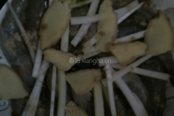 清蒸虾的做法图解2