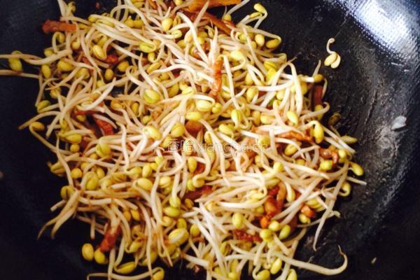 肉炒黄豆芽的做法图解5