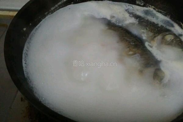 清炖鲫鱼汤的做法图解8