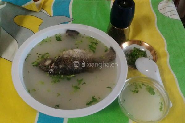 清炖鲫鱼汤的做法图解10