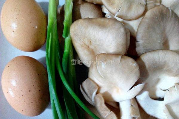 蘑菇炒鸡蛋的做法图解1