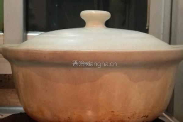 胡萝卜焖排骨的做法图解10