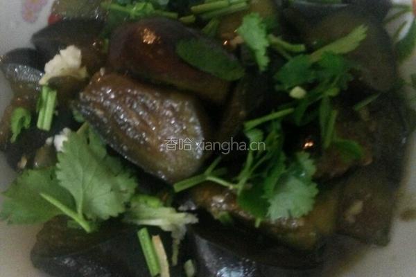 苏北红烧茄子的做法图解7