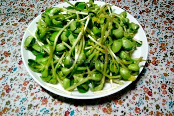 清炒豆苗的做法图解1