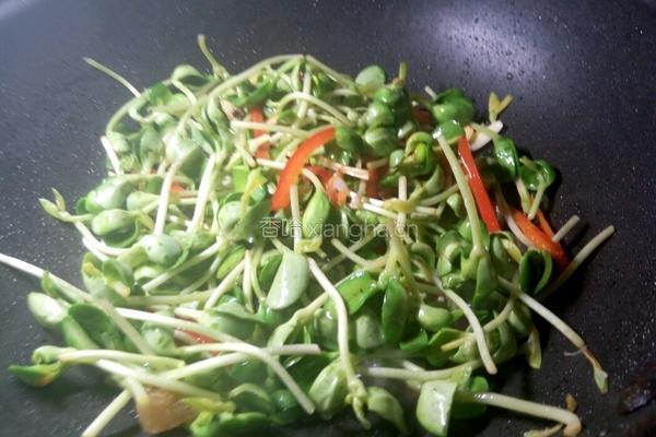 清炒豆苗的做法图解8