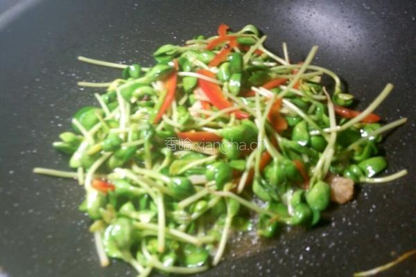 清炒豆苗的做法图解9
