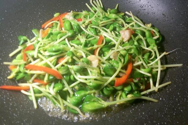 清炒豆苗的做法图解10