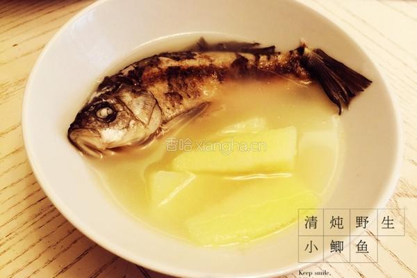 清炖野生小鲫鱼的做法图解8