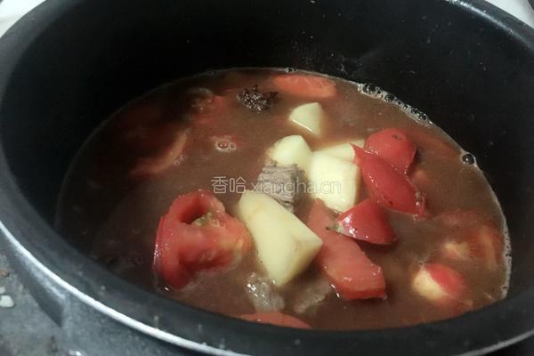 土豆牛腩煲的做法图解12