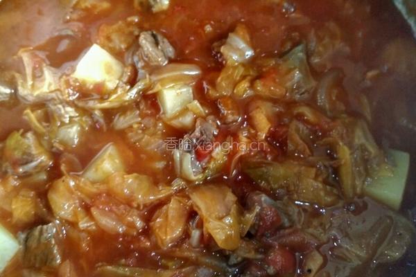 番茄牛肉炖土豆的做法图解9