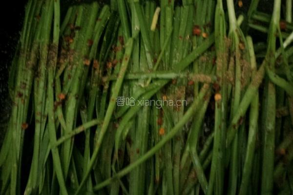 烤韭菜的做法图解2