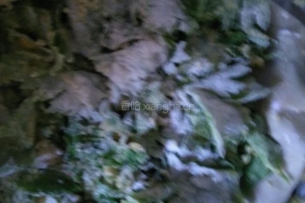 蒸菜的做法图解4
