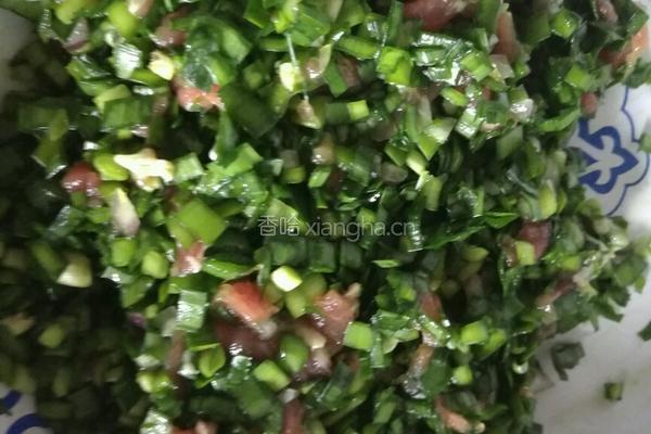 羊肉韭菜盒子的做法图解1