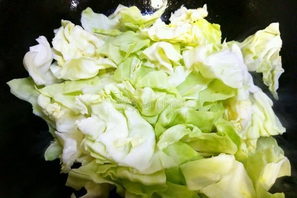 卷心菜炒肉的做法图解9