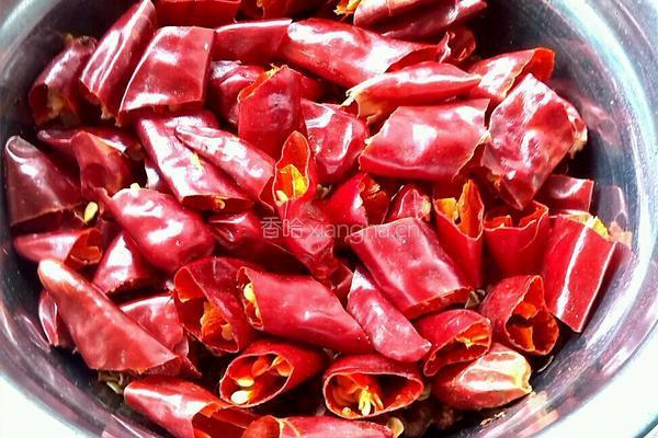 腊肠干煸四季豆的做法图解4