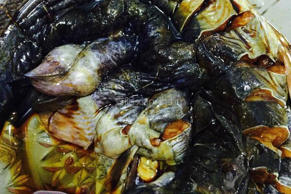 大蒜烧鲶鱼的做法图解4