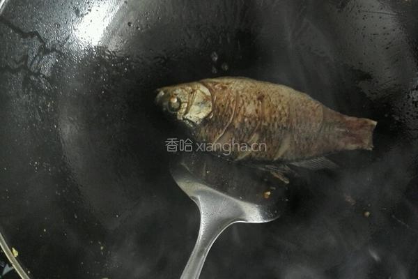 冬瓜薏仁鲫鱼汤的做法图解4