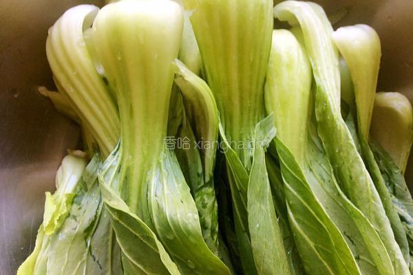 油菜豆腐的做法图解1