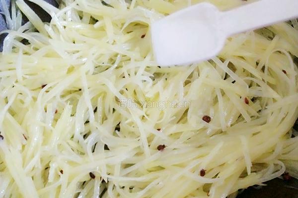 素炒土豆丝的做法图解8
