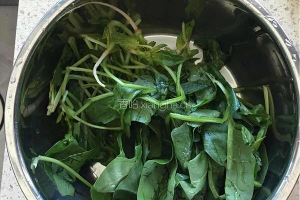绿玫瑰花卷的做法图解1