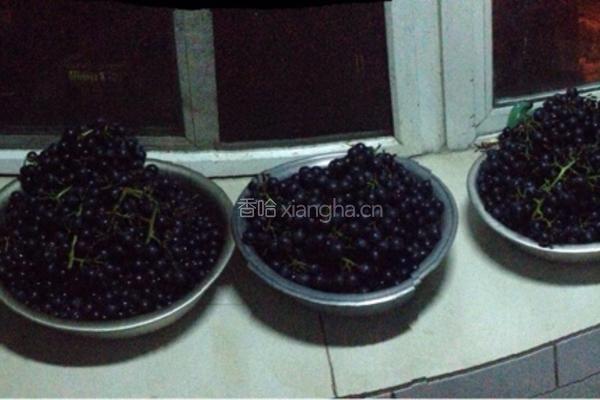 自制葡萄🍇酒🍷的做法图解1